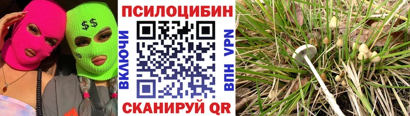 наркотики  Ардон  Псилоцибиновые грибы ЛСД 